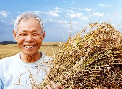 生物颗粒机